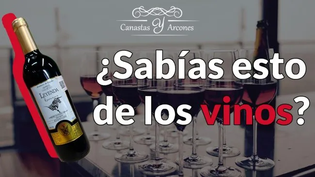 WhatsApp-Image-2022-05-11-at-12.47.23-PM